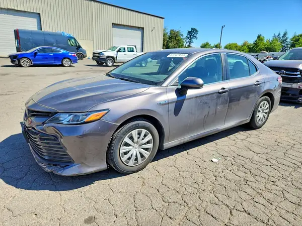 4T1C31AK7LU013654 2020 TOYOTA CAMRY - Image 1