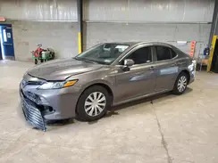4T1C31AK7LU019194 2020 TOYOTA CAMRY