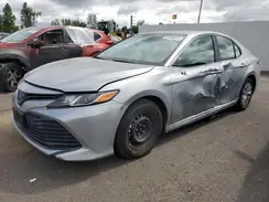 4T1C31AK7LU019406 2020 TOYOTA CAMRY