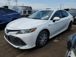 4T1C31AK7LU019454 2020 TOYOTA CAMRY