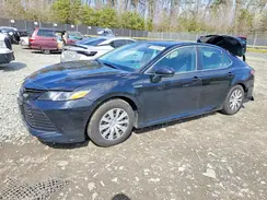 4T1C31AK7LU520456 2020 TOYOTA CAMRY