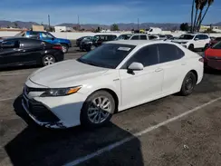 4T1C31AK7LU521056 2020 TOYOTA CAMRY