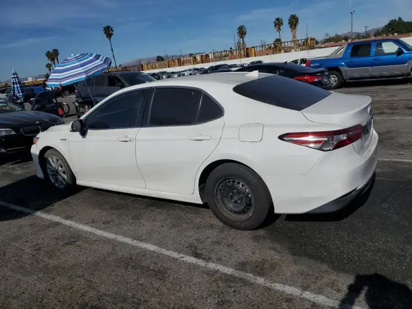 4T1C31AK7LU521056 2020 TOYOTA CAMRY - Image 2