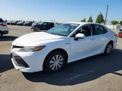 4T1C31AK7LU521154 2020 TOYOTA CAMRY