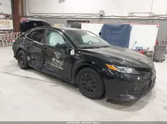 4T1C31AK7LU521929 2020 TOYOTA CAMRY