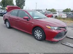 4T1C31AK7LU523566 2020 TOYOTA CAMRY