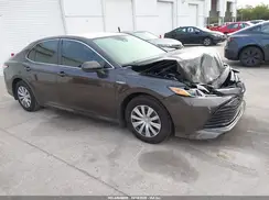 4T1C31AK7LU526189 2020 TOYOTA CAMRY
