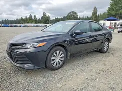4T1C31AK7LU526712 2020 TOYOTA CAMRY