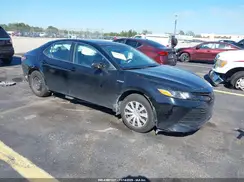 4T1C31AK7LU527276 2020 TOYOTA CAMRY