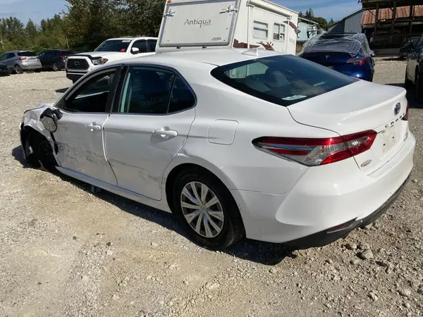 4T1C31AK7LU533966 2020 TOYOTA CAMRY - Image 2
