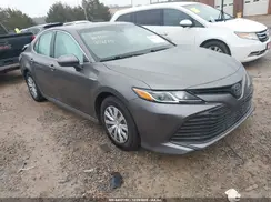 4T1C31AK7LU534387 2020 TOYOTA CAMRY