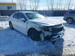 4T1C31AK7LU536009 2020 TOYOTA CAMRY