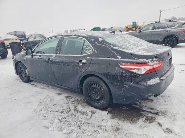4T1C31AK7LU536379 2020 TOYOTA CAMRY - Image 2