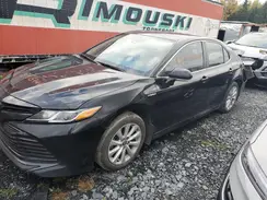 4T1C31AK7LU539380 2020 TOYOTA CAMRY