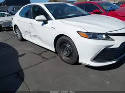 4T1C31AK7MU550445 2021 TOYOTA CAMRY