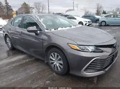 4T1C31AK7PU050807 2023 TOYOTA CAMRY