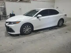 4T1C31AK7PU608736 2023 TOYOTA CAMRY