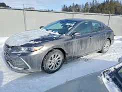 4T1C31AK7PU618828 2023 TOYOTA CAMRY