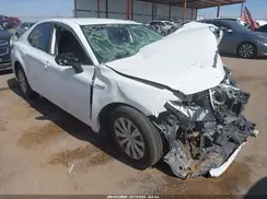 4T1C31AK8LU519865 2020 TOYOTA CAMRY