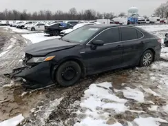 4T1C31AK8LU521437 2020 TOYOTA CAMRY