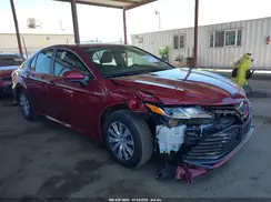 4T1C31AK8LU525374 2020 TOYOTA CAMRY