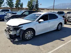 4T1C31AK8LU528792 2020 TOYOTA CAMRY