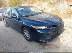 4T1C31AK8LU531689 2020 TOYOTA CAMRY