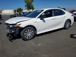 4T1C31AK8LU533183 2020 TOYOTA CAMRY