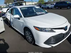 4T1C31AK8LU534270 2020 TOYOTA CAMRY