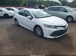4T1C31AK8LU534687 2020 TOYOTA CAMRY