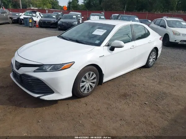 4T1C31AK8LU534687 2020 TOYOTA CAMRY - Image 2