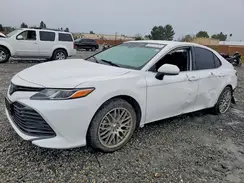 4T1C31AK8LU537220 2020 TOYOTA CAMRY