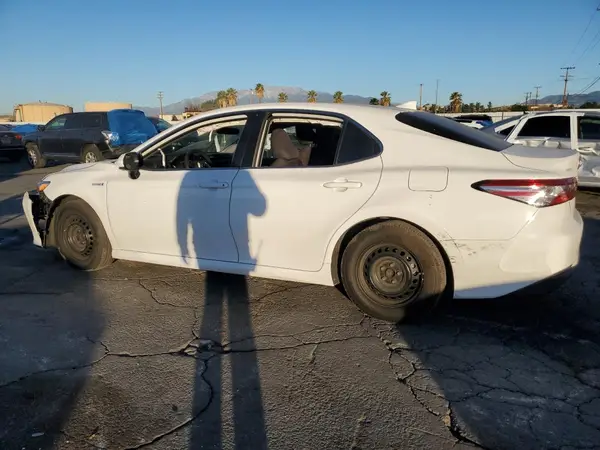 4T1C31AK8LU540828 2020 TOYOTA CAMRY - Image 2