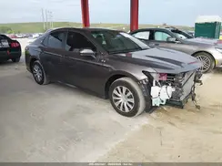 4T1C31AK8LU541042 2020 TOYOTA CAMRY