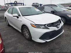 4T1C31AK8LU543146 2020 TOYOTA CAMRY