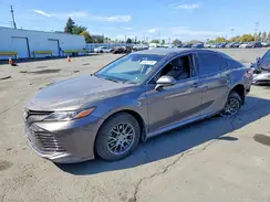 4T1C31AK8LU546337 2020 TOYOTA CAMRY