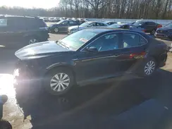 4T1C31AK8MU560384 2021 TOYOTA CAMRY