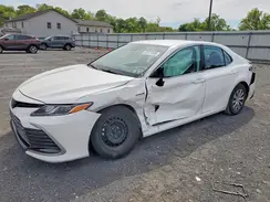 4T1C31AK8MU562748 2021 TOYOTA CAMRY