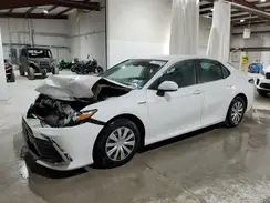 4T1C31AK8MU563463 2021 TOYOTA CAMRY