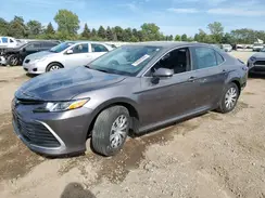 4T1C31AK8PU059323 2023 TOYOTA CAMRY