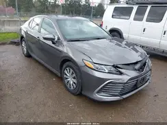 4T1C31AK8PU600872 2023 TOYOTA CAMRY