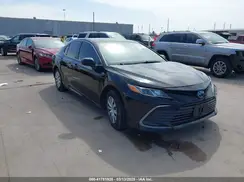 4T1C31AK8PU603075 2023 TOYOTA CAMRY