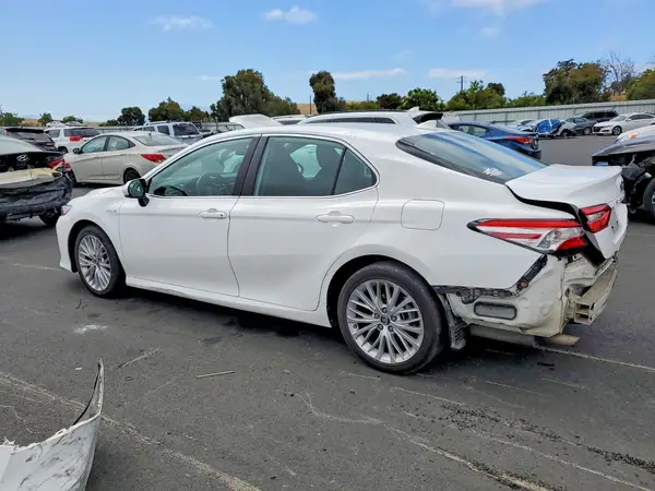 4T1C31AK9LU011162 2020 TOYOTA CAMRY - Image 2