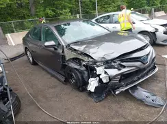 4T1C31AK9LU521382 2020 TOYOTA CAMRY