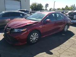 4T1C31AK9LU523987 2020 TOYOTA CAMRY