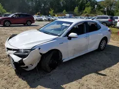 4T1C31AK9LU524587 2020 TOYOTA CAMRY