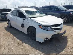 4T1C31AK9LU525819 2020 TOYOTA CAMRY