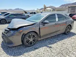 4T1C31AK9LU532916 2020 TOYOTA CAMRY