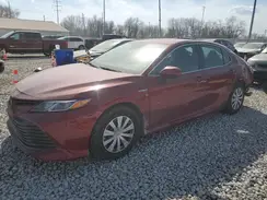 4T1C31AK9LU533502 2020 TOYOTA CAMRY