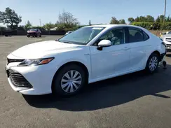 4T1C31AK9LU535704 2020 TOYOTA CAMRY